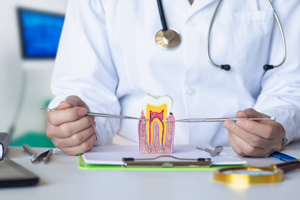 Best Emergency Dentist for Knocked-Out Tooth in Omaha, TX